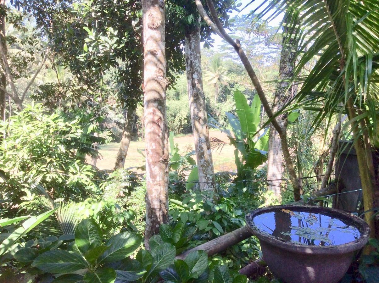 Rumah Irak Et Kadek Bali 乌布 外观 照片