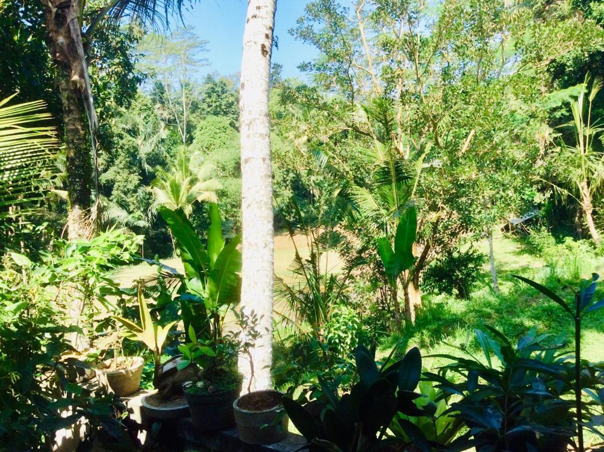 Rumah Irak Et Kadek Bali 乌布 外观 照片