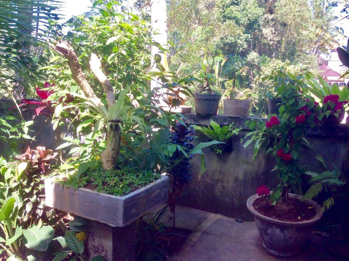Rumah Irak Et Kadek Bali 乌布 外观 照片