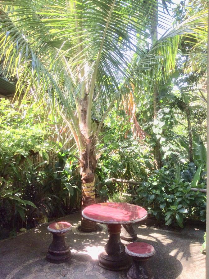 Rumah Irak Et Kadek Bali 乌布 外观 照片