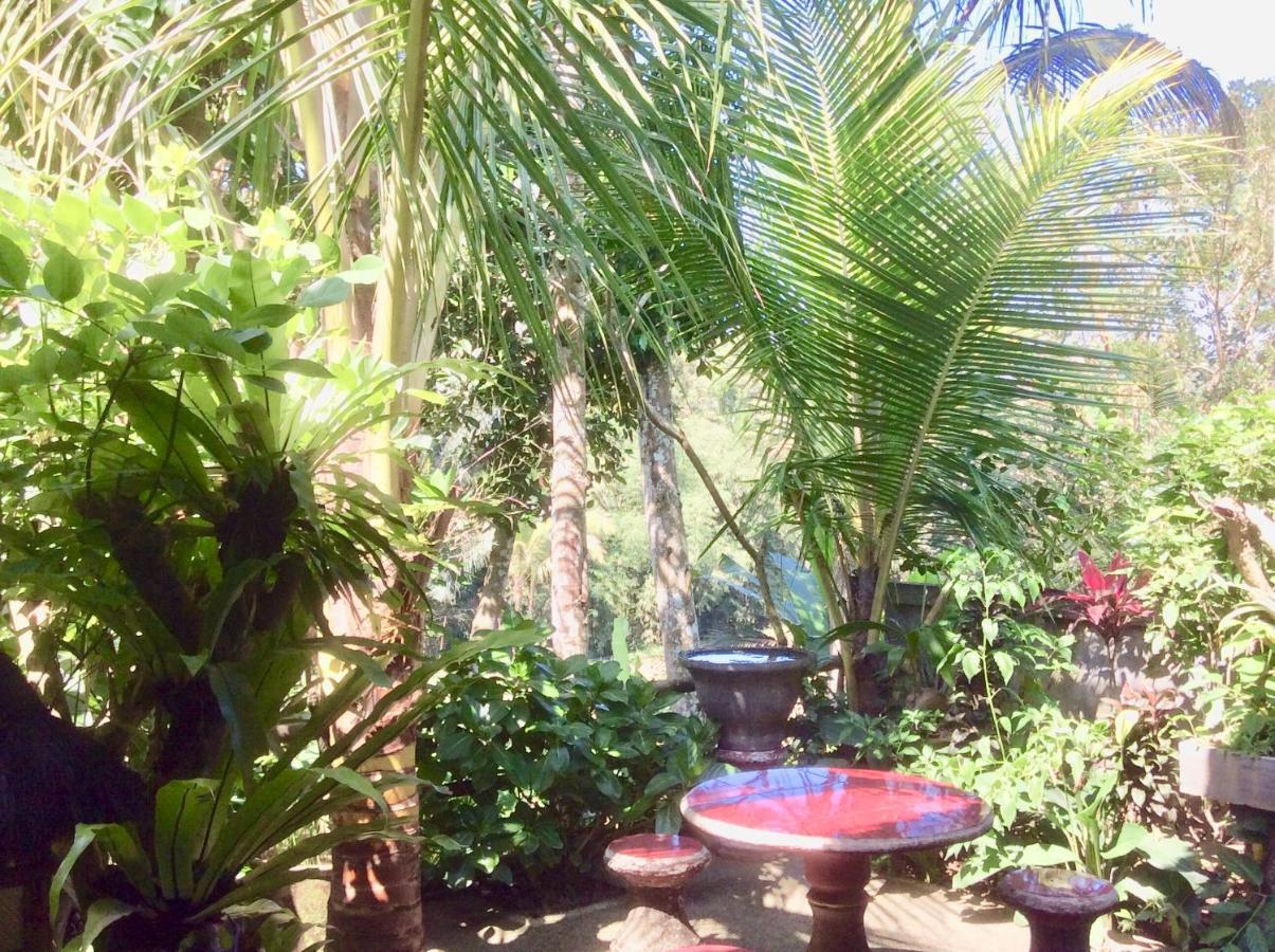 Rumah Irak Et Kadek Bali 乌布 外观 照片